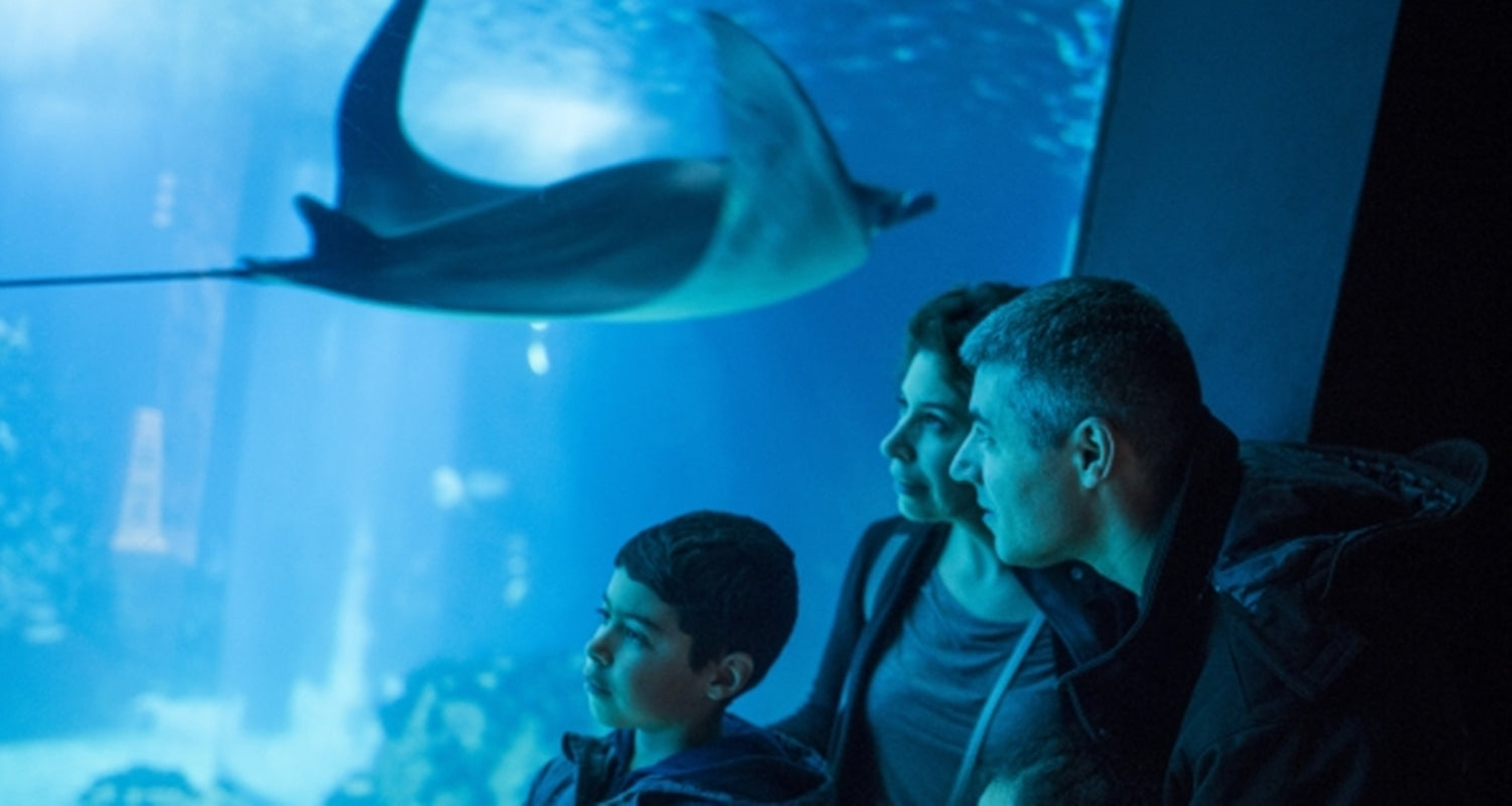 Lisboa para crianças: 10 passeios para fazer no inverno