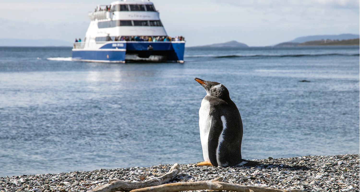 O que fazer em Ushuaia: um guia completo sobre a cidade!