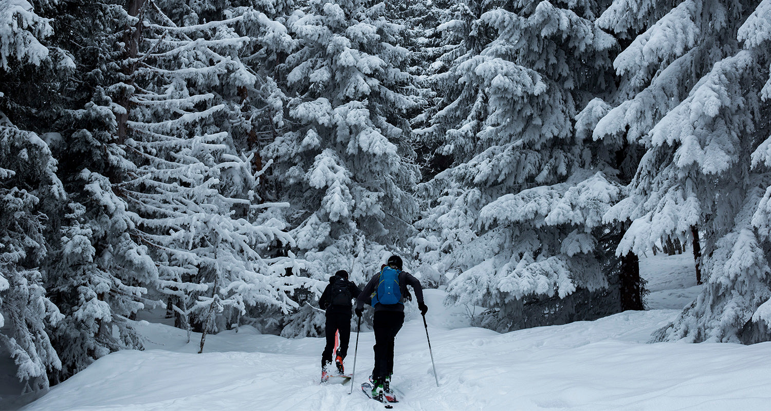 Estações de esqui na França: veja 6 opções de locais + dicas