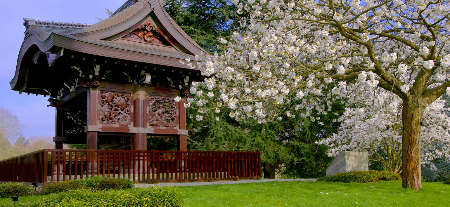 Londres fora do comum: Kew Gardens e mais 5 atrações na cidade