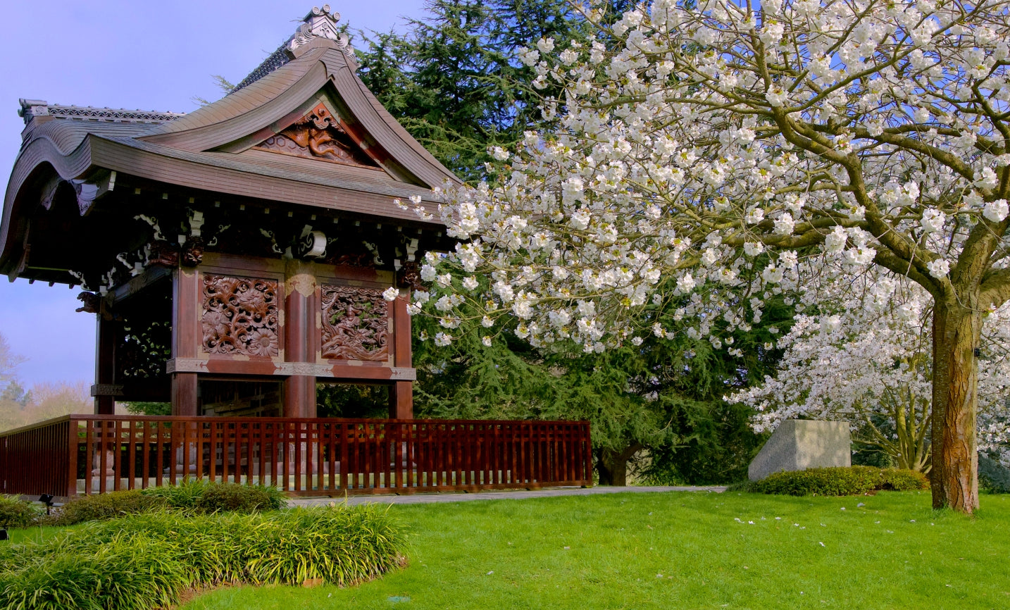 Londres fora do comum: Kew Gardens e mais 5 atrações na cidade