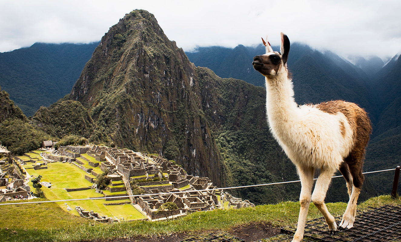 Machu Picchu: o que você precisa saber pra montar o roteiro?