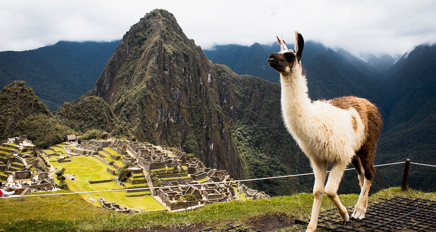 Machu Picchu: o que você precisa saber pra montar o roteiro?