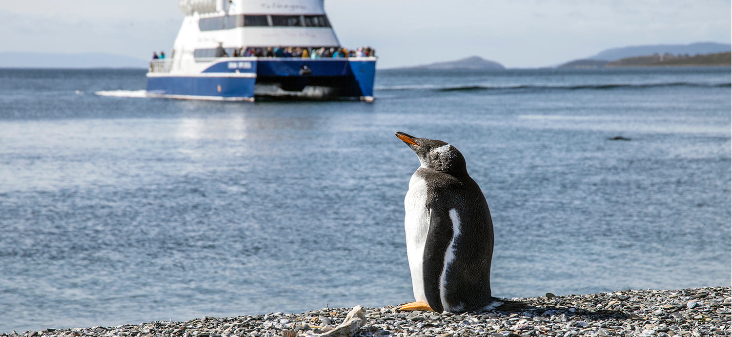O que fazer em Ushuaia: um guia completo sobre a cidade!