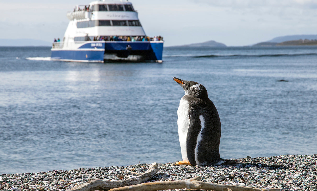 O que fazer em Ushuaia: um guia completo sobre a cidade!